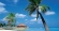 Vacation Packages