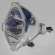 AHP Lamp