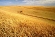 Investment Banking Services for Agribusiness Companies
