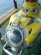 Deep Water Shark Encounters-2000 Feet