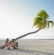 Travel Insurance