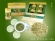 Wholesales Chinese Long Jing (Dragon Well) green tea