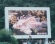 Full color LED display