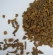 Cinnamon Bark Extract