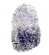 Forensic Investigations