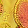 Tissue Culture & Fermentation