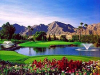Hyatt Grand Champions Resort, Villas and Spa Auctions Vacation Packages on LuxuryLink.com