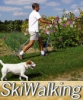 Nordic Walking Coming to Scandinavian Folk Festival (No Skis and No Snow Required)