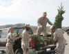 Garden Center Participates in Trees for Troops