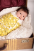 Peanut Shell Launches Line of Designer Baby Swaddle Blankets
