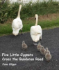 New Children's Picture Book: Five Baby Swans Cross the Bundoran Road