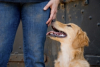 Trupanion Raises Pet Insurance Awareness & Money for Charity