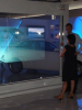 Glimm Screens B.V. Launches New, Transparent Holographic Film for Front Projection