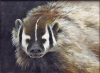 Wildlife Artist Mort Solberg Wins Major Art Awards