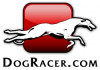 Dogracer.com Goes Live 1 December 2009. Breed and Race Your Own Virtual Greyhound.