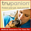 Trupanion Prepares Pet Owners for Seasonal Allergies in Pets with Pet Insurance Coverage