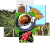 Innovance LLC Introduces New Coffee Cherry Herbal Tea, Double the Antioxidants, Healthier Than Green Tea