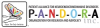 P.A.N.D.O.R.A.-Patient Alliance for Neuroendocrineimmune Disorders Organization for Research & Advocacy, Inc Wins a $20K Grant on Chase Community Giving