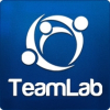 TeamLab.com: Leveraging Employee Productivity for Zero Cost