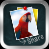Emtrace Launches New iPad App for Creating and Sharing eCards
