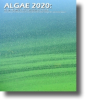 Algae 2020 Study Identifies High Value Markets and Producers of Biofuels, Biochemicals, Bioplastics, Biojet, Animal Feed, Omega 3s and Heart Healthy Oils
