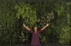 "The Nate Berkus Show" Displays a Living Wall on Its Set Created by Trish O'Sullivan Designs