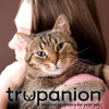 Trupanion Reminds Pet Owners of Thanksgiving Dangers