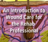North American Seminars Inc. Introduces a a New Online Physical Therapy Continuing Education Course, an Introduction to Wound Care for the Rehab Professional