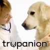 Trupanion Reminds Pet Owners of Valentine's Day Hazards