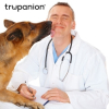 Pet Dentistry: Trupanion Covers Complications with Tooth Eruption and Exfoliation