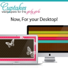 Lauren at Restored 316 Designs Launches a Wallpaper Application for the Mac Desktop in the New Mac App Store