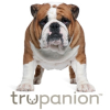 Trupanion Pet Insurance Now Available in Rhode Island and New Mexico