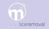 Magic Lice Removal Offers Head Lice Awareness Presentations