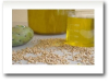 CasaSpa Purus Oil - 100% Pure (Bio) Prickly Pear Seed Oil