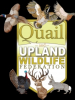 QUWF Strongly Supports Ruffed Grouse Restocking in Missouri