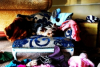 The Gilded Yorkie Dog Boutique Opens Up Online