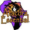 Atacora Essential, Inc.: A New Model for Social Entrepreneurship in Africa