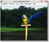 CNET Gives an "Excellent" Review to Audio4fun's Talking Parrot Screensaver