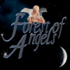 Forest of Angels is an Event with Business, Charity and Kids in Mind
