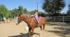 The Mesa Stables Now Provides Horseback Riding Lessons