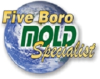 NYC Mold Inspection Company, Five Boro Mold Specialist Inc., Offers Hurricane Sandy Mold Removal Service Package