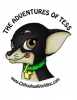 New Children's Self Help Book Series Gives Children Confidence to Overcome Their Fears and Better Succeed in Life! "The Adventures of Tess"