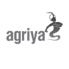 Agriya Released the New Version of Its Vacation Rental Software - Burrow 2.0