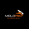 Molopro’s President, Alejandro Delbrey, Announces New Website and Services