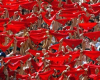 Experience the Fiesta de San Fermín and the Running of the Bulls in Pamplona in 2014 with Iberian Traveler's Sanfermín Tours