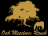 Oak Meadows Ranch is Proud to Announce Equine Therapy is Now Available