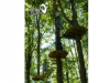 Treetop Quest Will Open a New Treetop Obstacle Course & Zip-Lining in March 2015