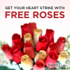 Bello2 Spreads Love This February with Free Roses