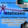 Intelixseo Now Offers Five Custom Marketing Strategy Packages