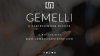 Ownership is Proud to Announce That Gemelli Business Advisory LLC Has Launched
